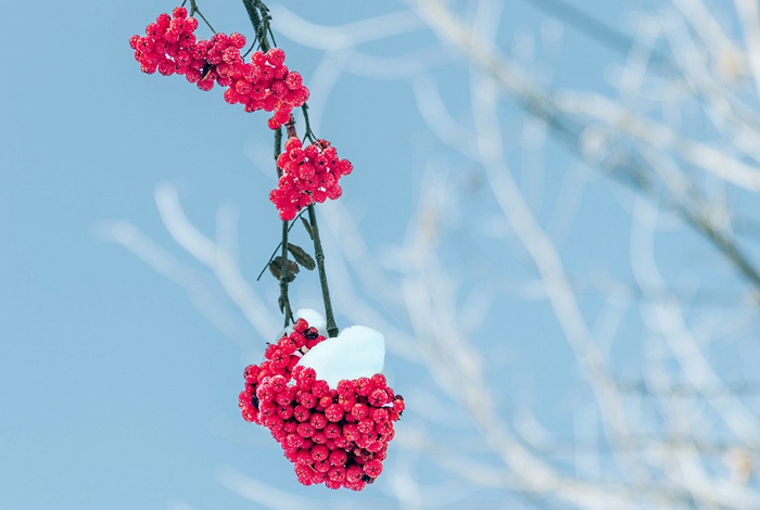 【萊沃醫(yī)療：知識分享】今日小雪，快“藏”好這份健康秘籍！